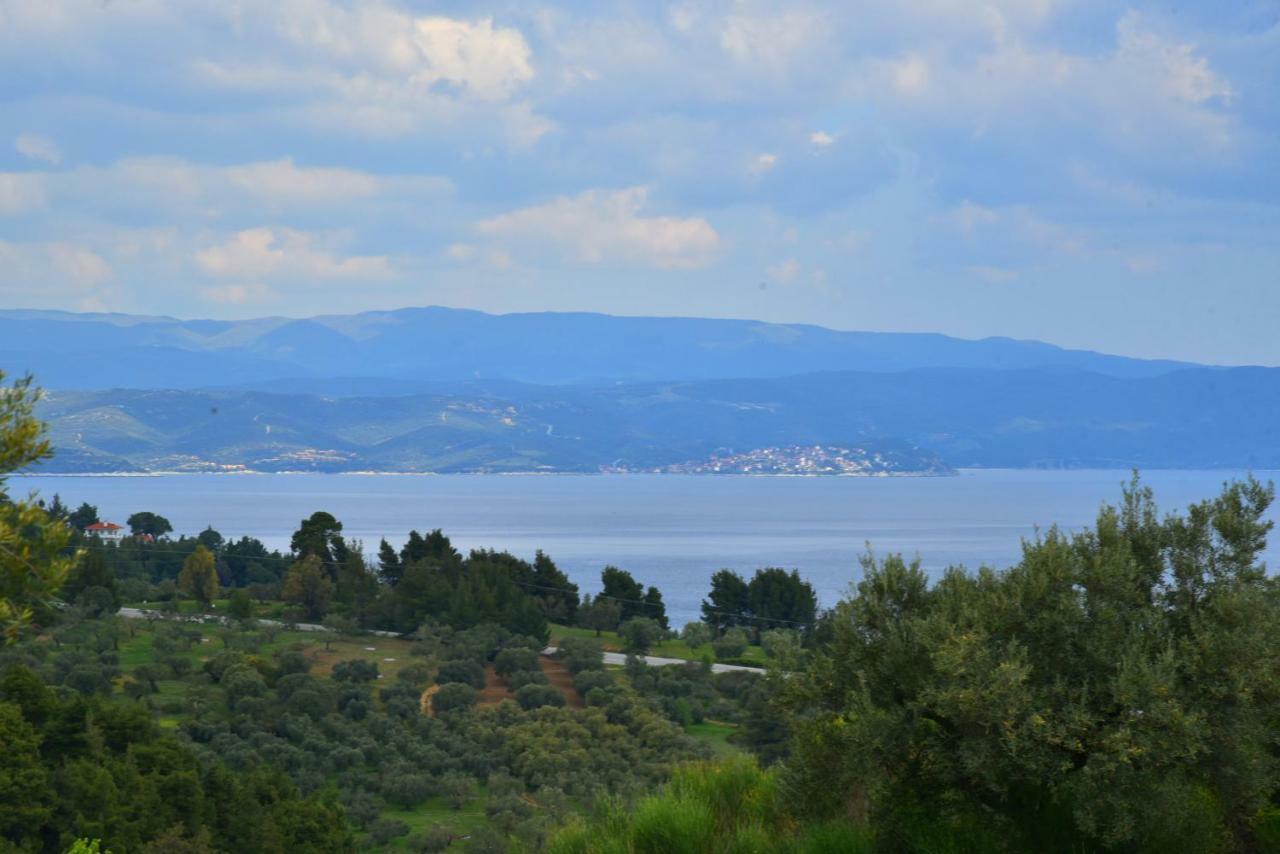 Athina Luxury Apartments アギオス・ニコラオス エクステリア 写真